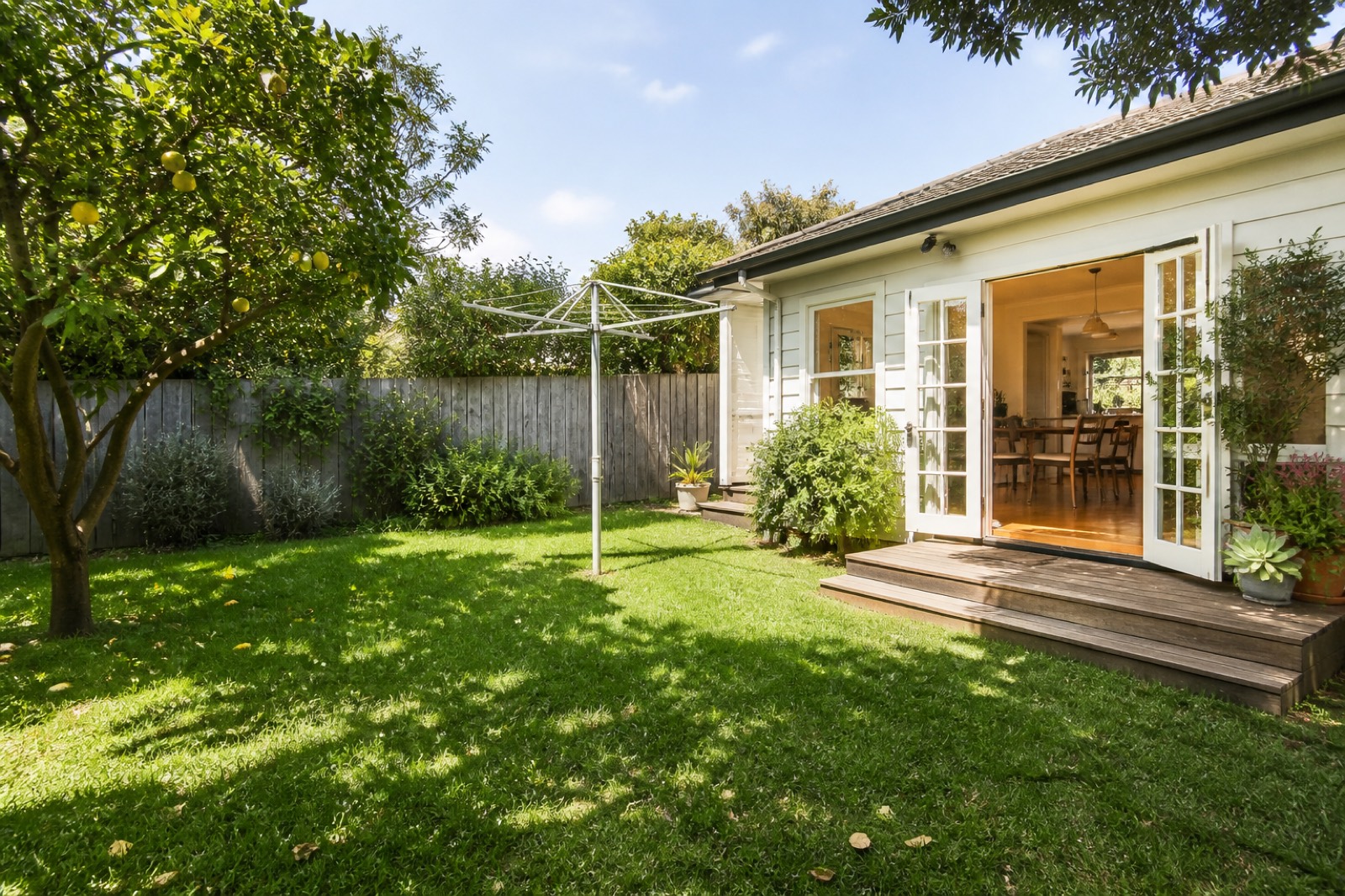 A backyard with a lemon tree and a white weatherboard house